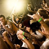 50 Lions - List pictures