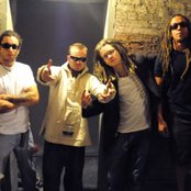 The Movement - List pictures