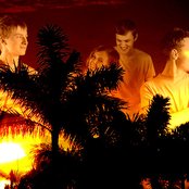 Palms On Fire - List pictures