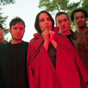 Loquat - List pictures