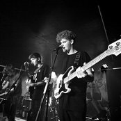 Dog Is Dead - List pictures