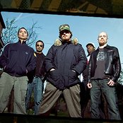 Rehab - List pictures