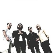 The Amazing - List pictures