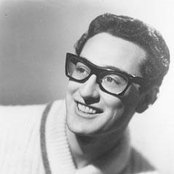 Holly Buddy - List pictures