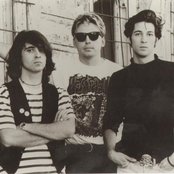 Ratcat - List pictures