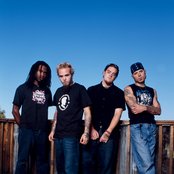 Primer 55 - List pictures