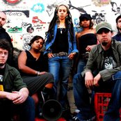 Blue King Brown - List pictures