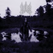 Alverg - List pictures