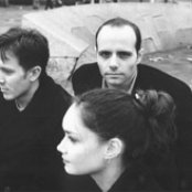 Trembling Blue Stars - List pictures