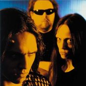 Hypocrisy - List pictures