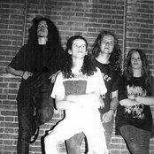 Acrostichon - List pictures