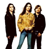 Jaguares - List pictures