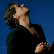 Falko - List pictures