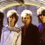 The Alarm - List pictures