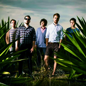 Tereza - List pictures