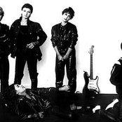 Peach - List pictures