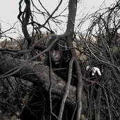 Xasthur - List pictures