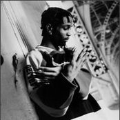 Nine - List pictures