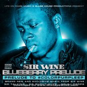 Sir Wine - List pictures