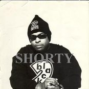 Shorty - List pictures