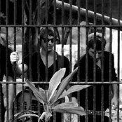 Moptop - List pictures