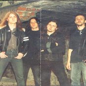 Shade - List pictures