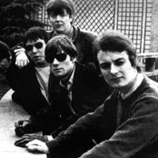 The Animals - List pictures