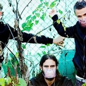 Miike Snow - List pictures