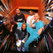 King Prawn - List pictures