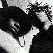 Cocoa Brovaz - List pictures