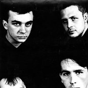 Foje - List pictures