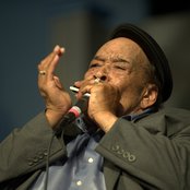 James Cotton - List pictures