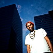 Damu The Fudgemunk - List pictures