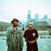 Mellowhype - List pictures