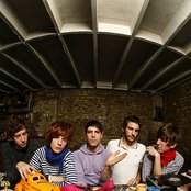 Foals - List pictures