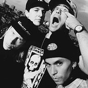 Limbomaniacs - List pictures
