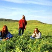 Blind Melon - List pictures