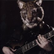 Shawn Lee - List pictures