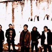 Elysia - List pictures