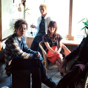 Aqua Timez - List pictures