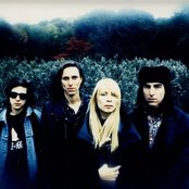 Live Skull - List pictures