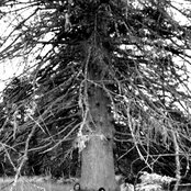 Wolves In The Throne Room - List pictures