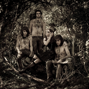 Crystal Fighters - List pictures