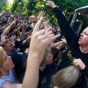 Born From Pain - List pictures