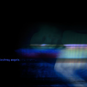 How To Destroy Angels - List pictures