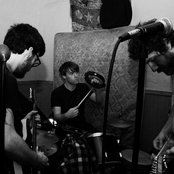 Woods - List pictures