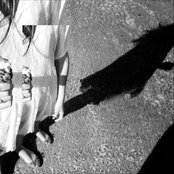 Froth - List pictures