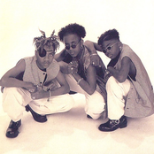 Immature - List pictures