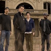 Taproot - List pictures