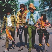 Equipe 84 - List pictures